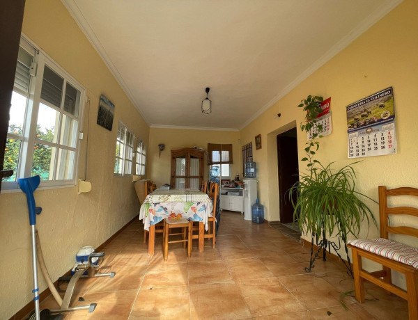 Casa o chalet independiente en venta en Urb. Borreguitos, Las Lagunas - Campano photo 4