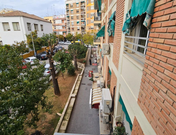 Продажа квартиры в Calle del Alcalde Velasco Navarro, Distrito Ciudad Jardín thumbnail 2