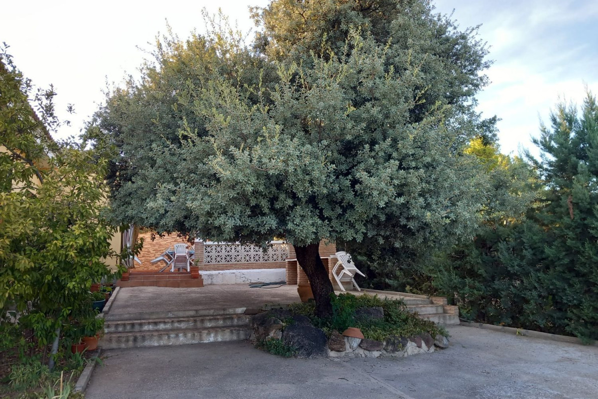 Casa o chalet independiente en venta en calle comuneros de castilla, 349, Nambroca
photo 4