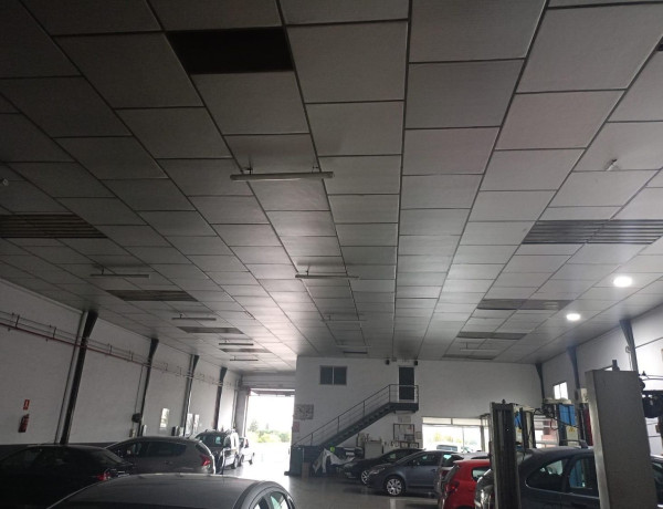 Nave en venta en Fátima-El Panderón photo 3