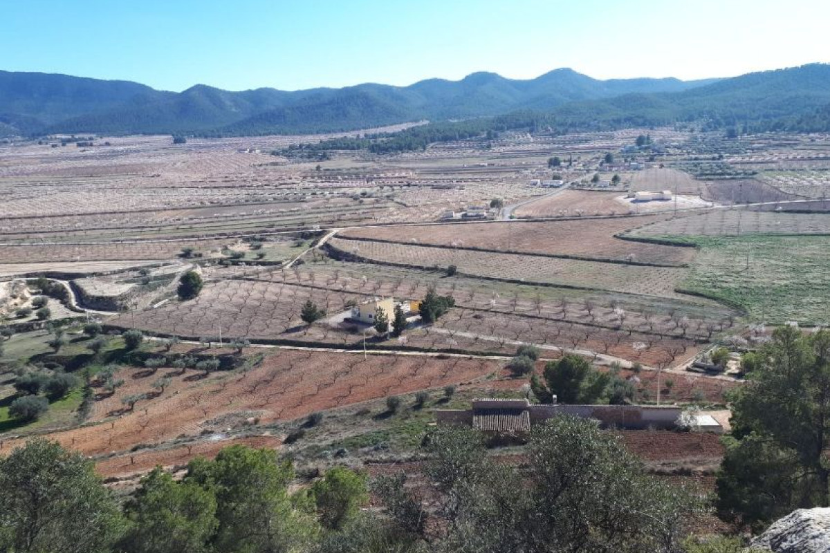Terreno en venta en Ricote, Murcia photo 1