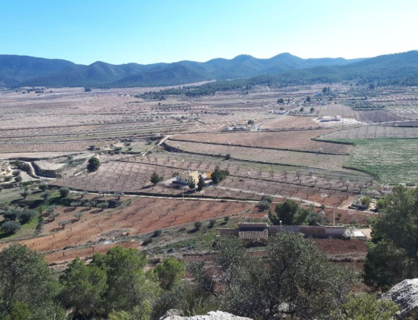 Terreno en venta en Campo de Ricote, km 18 photo 1