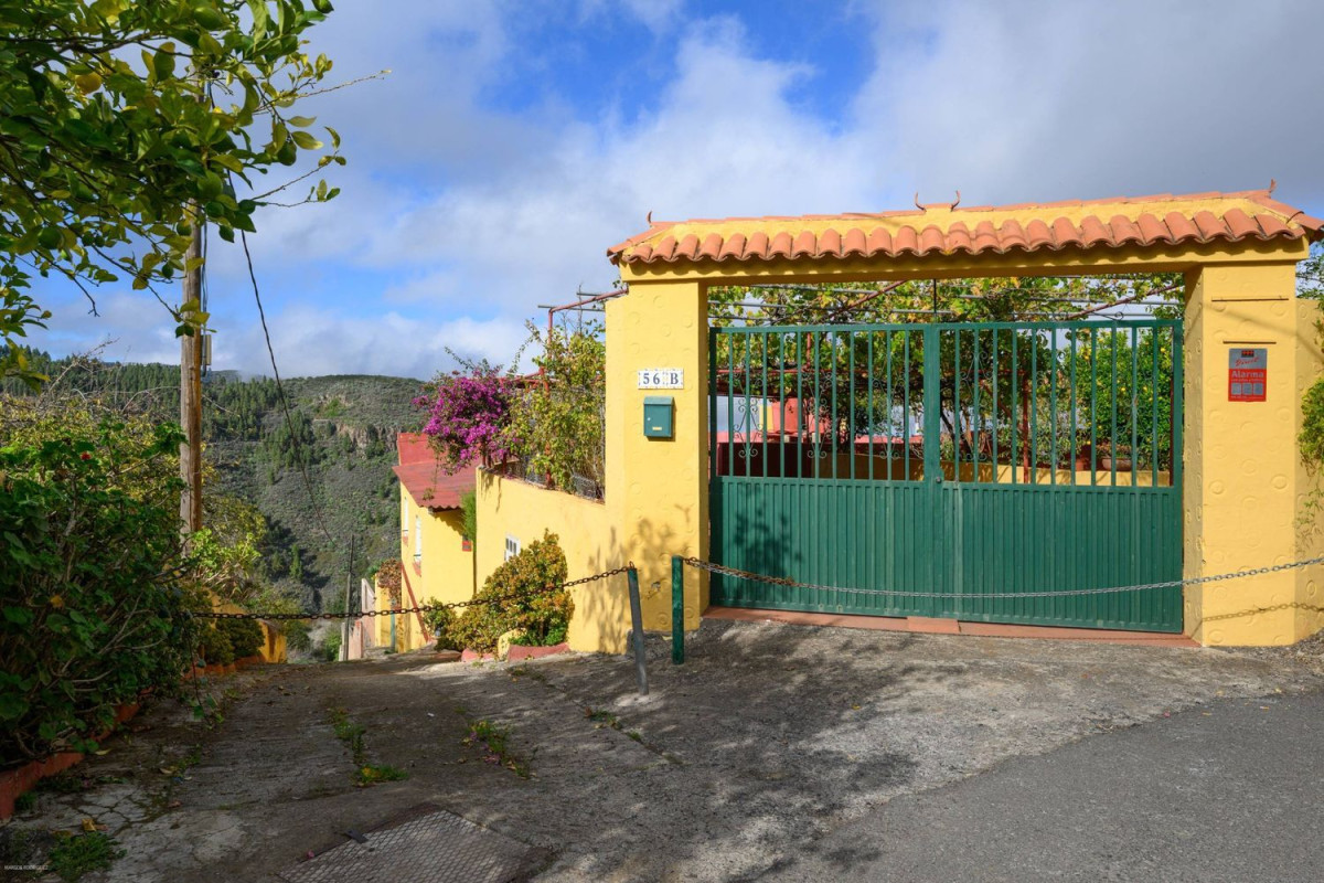 Venta de finca rústica en , Vega de San Mateo photo 2