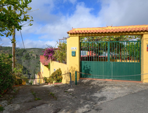 Finca rústica en venta en , Vega de San Mateo thumbnail 1