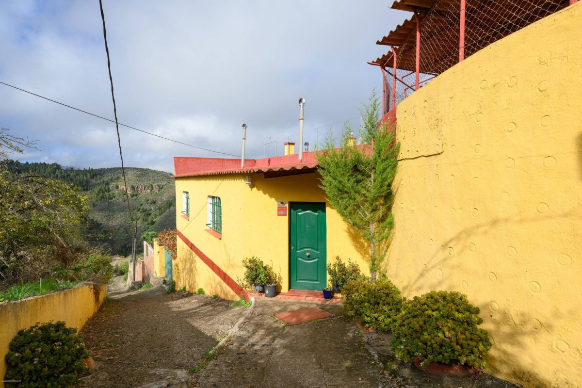 Venta de finca rústica en , Vega de San Mateo photo 3