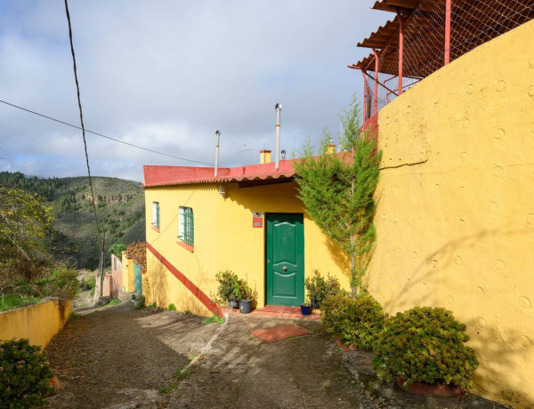 Finca rústica en venta en , Vega de San Mateo thumbnail 2