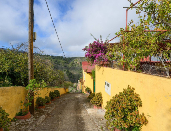 Finca rústica en venta en , Vega de San Mateo photo 4