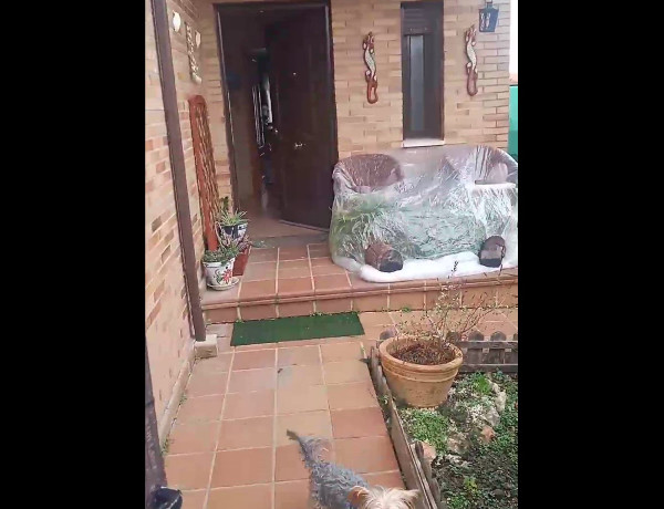 Semi-detached house for sale in  FRANCISCO QUEVEDO , Seseña photo 2