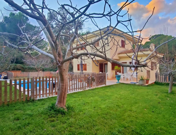 Detached villa for sale in  Barcarés - Manresa - Bonaire , Alcúdia photo 3