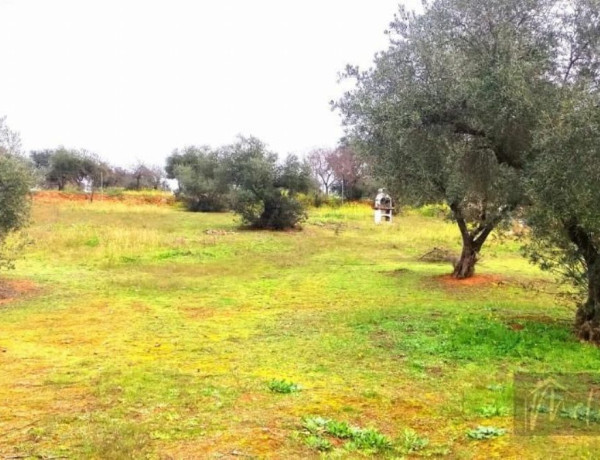 Finca rústica en venta en , Don Alvaro photo 3