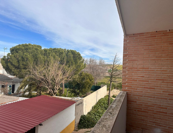 Bajo en venta en , Camarena photo 3