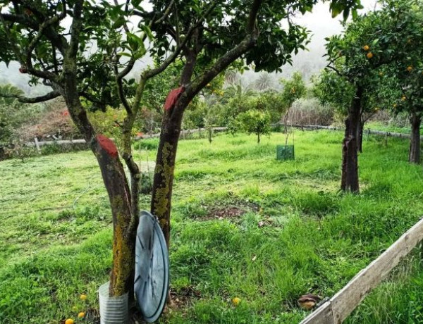 Rustic property for sale in  La Hoya Chiquita s/n , Santa Brigida photo 1