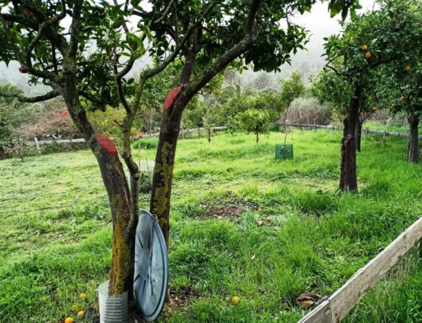Rustic property for sale in  La Hoya Chiquita s/n , Santa Brigida photo 2