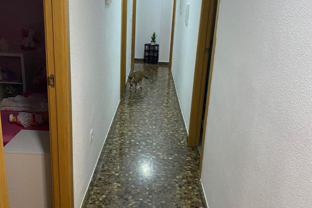 Piso en venta en Aldaia, Aldaia
 photo 4