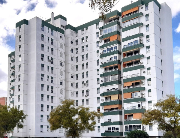 Apartment for sale in  Jerez norte - Montealto - Pozoalbero , Jerez de la Frontera photo 2