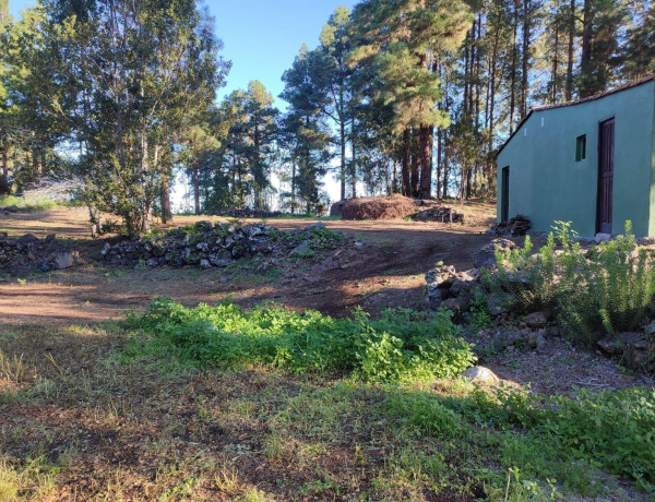 Finca rústica en venta en  Camino Los Helechos , Icod de los Vinos photo 2
