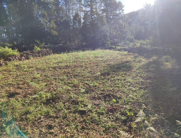 Finca rústica en venta en  Camino Los Helechos , Icod de los Vinos photo 3
