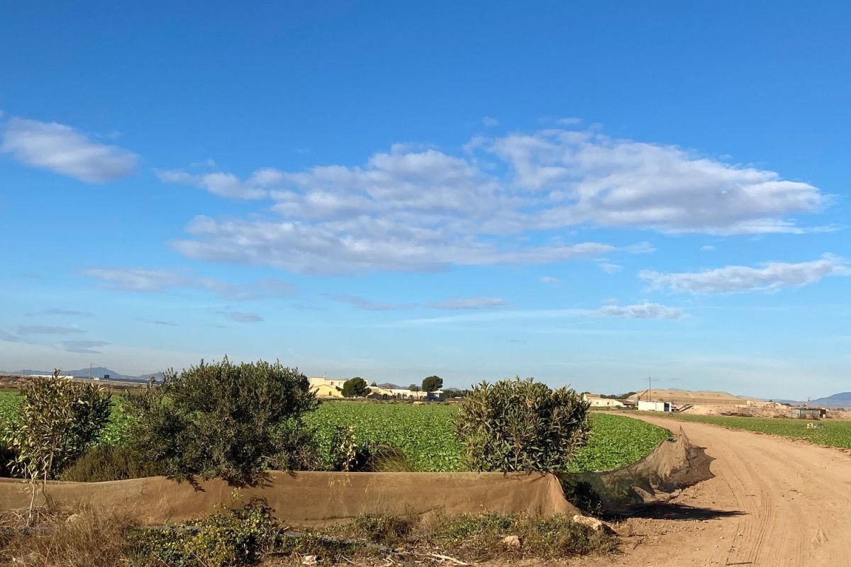 Terreno en venta en Cartagena, Murcia photo 5