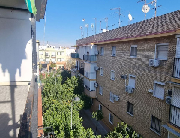 Piso en venta en Urb. BARRIADA EL ROCÍO, Dos Hermanas thumbnail 2