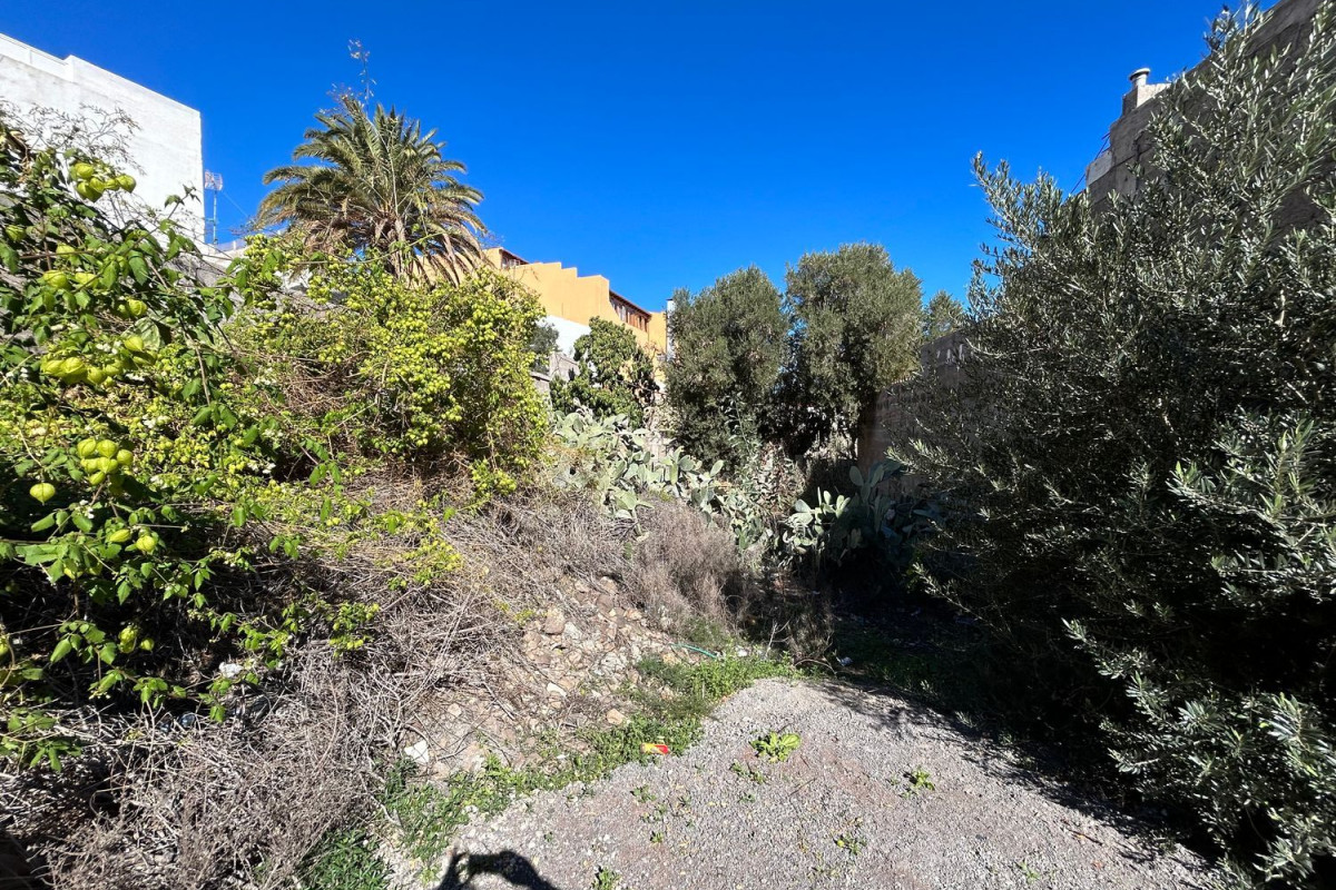 Terreno en venta en Ingenio, Las Palmas photo 4
