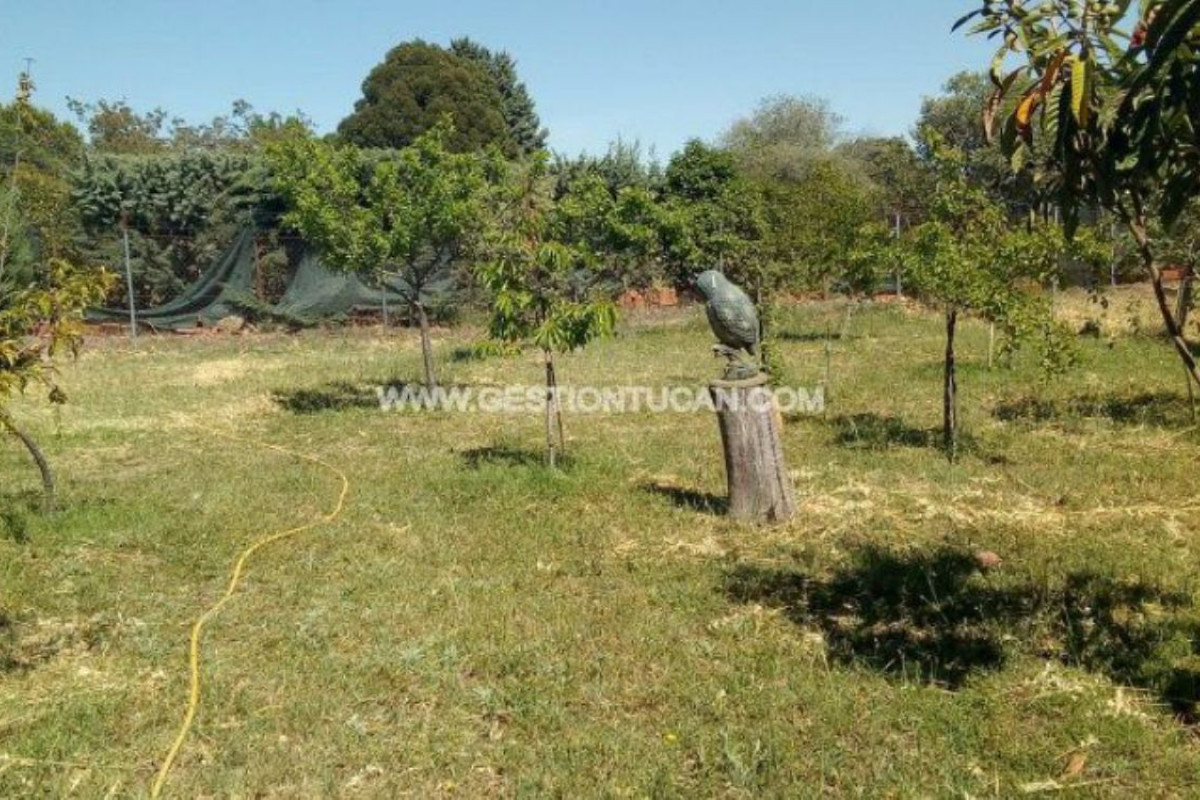 Casa o chalet independiente en venta en Urbanización Serr Playa s 6r, San Roman de los Montes
 photo 3