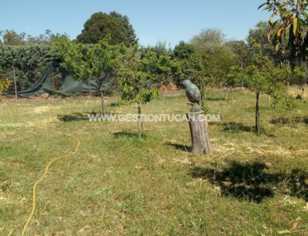 Chalet independiente en venta en , San Roman de los Montes thumbnail 2