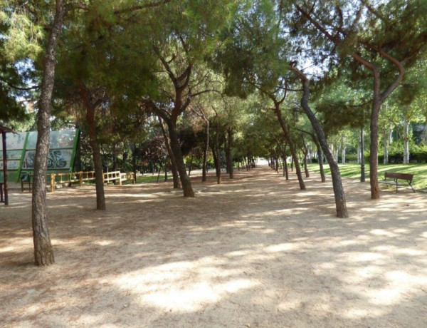 Пентхаус на продажу в  Barrio de Salamanca , Madrid photo 4