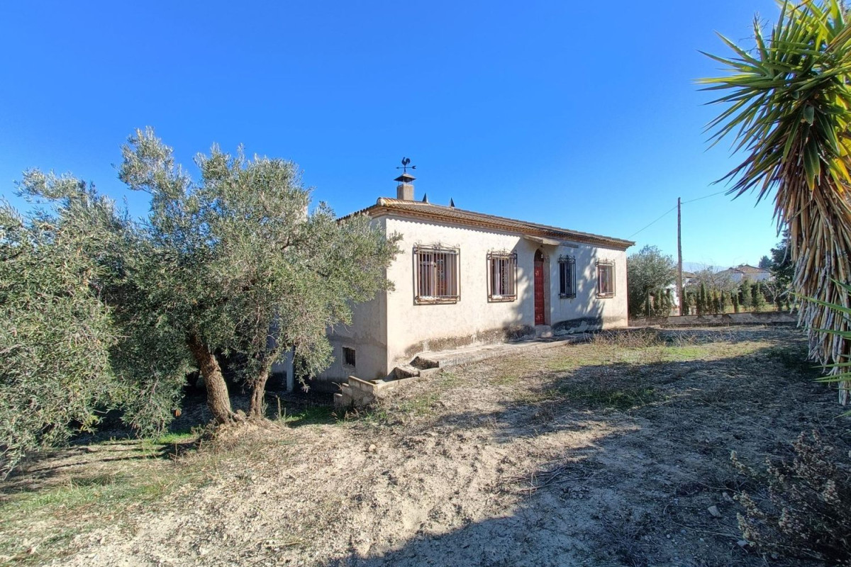 Venta de chalet independiente en Aljomahima - Ermita, Las Gabias
photo 3