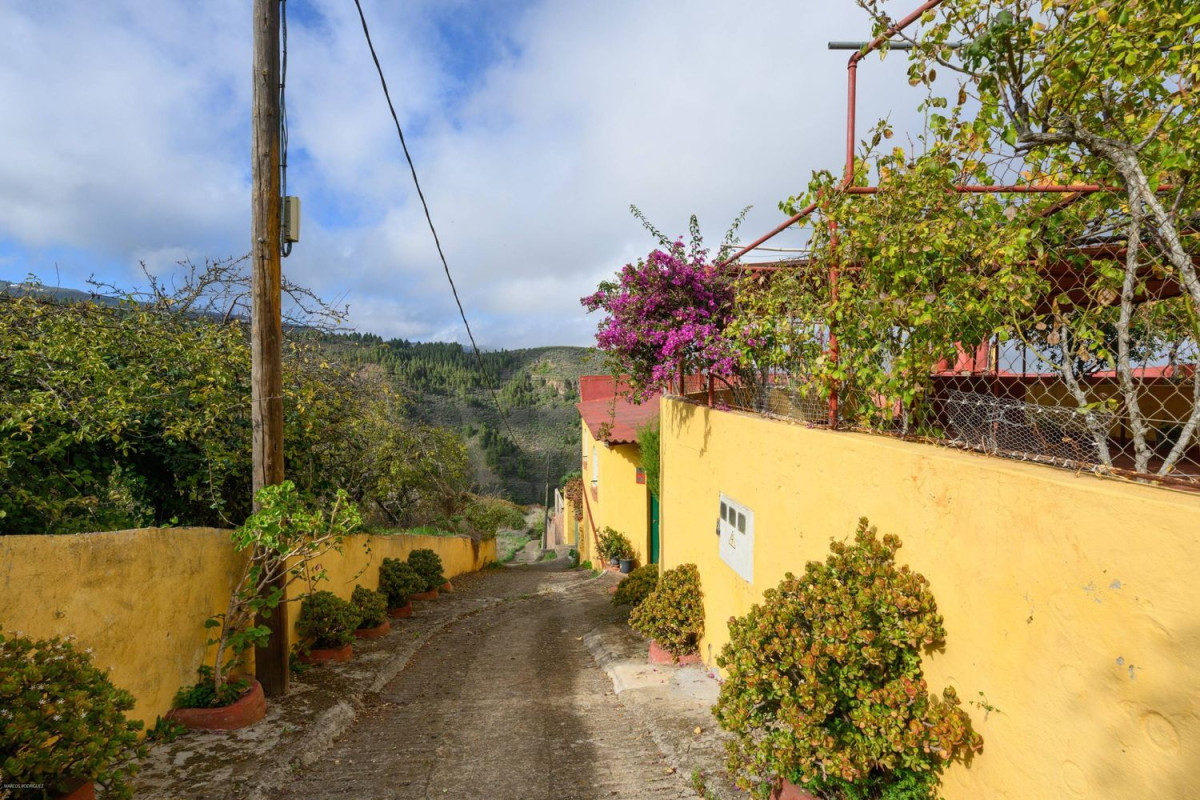 Venta de finca rústica en , Vega de San Mateo photo 4