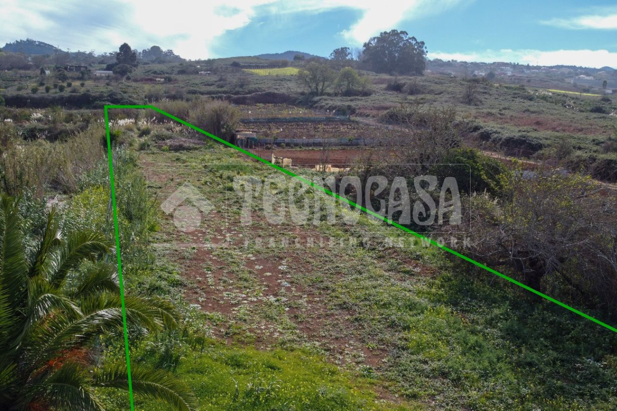Terreno en venta en Tacoronte, Santa Cruz de Tenerife photo 2