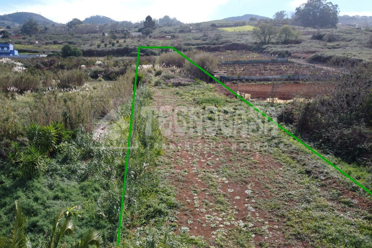 Terreno en venta en Tacoronte, Santa Cruz de Tenerife photo 3