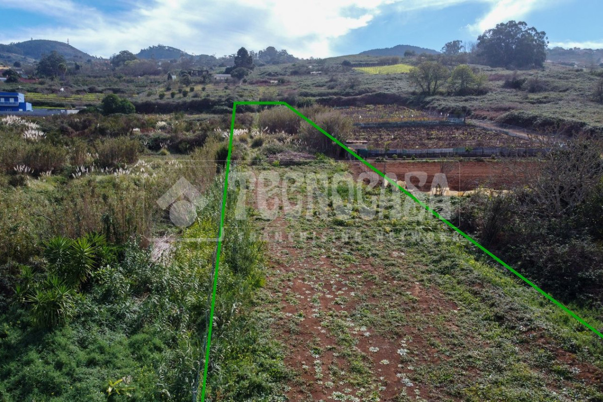 Terreno en venta en Tacoronte, Santa Cruz de Tenerife photo 5