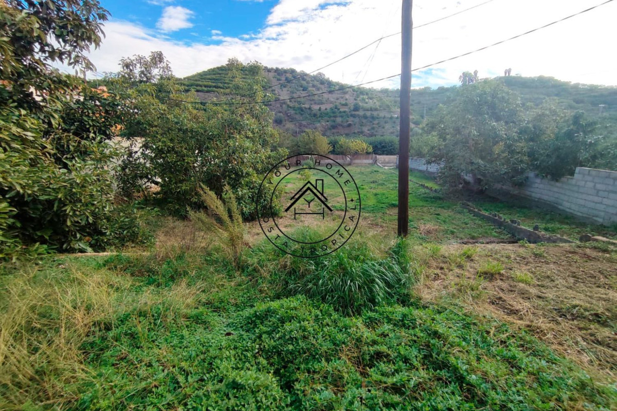 Land for sale in Almuñécar, Granada photo 5