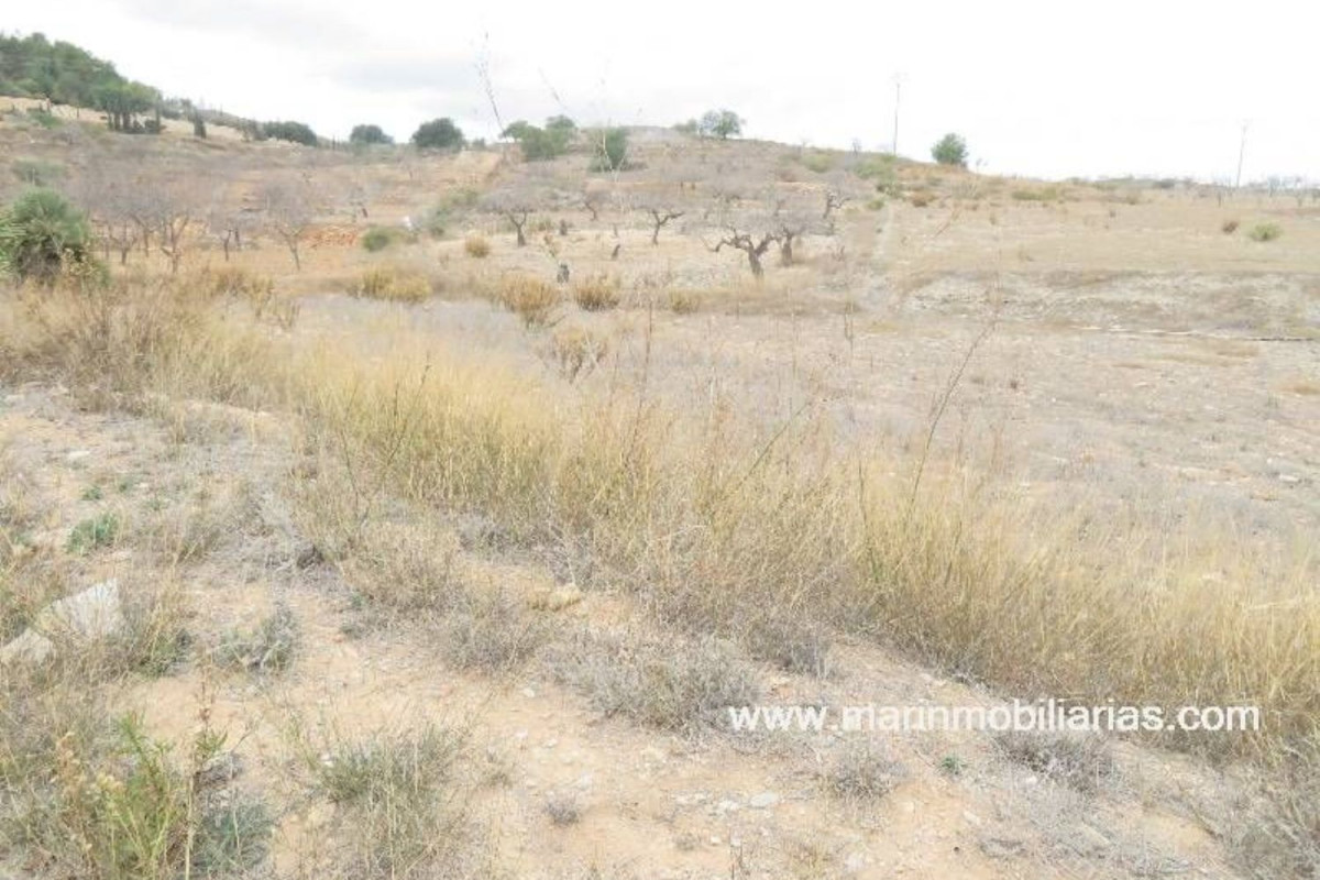 Terreno en venta en Cartagena, Murcia photo 3