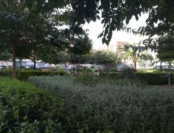 Local en venta en L'Hort de Senabre photo 1