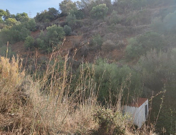 Terreno en venta en calle Cedro photo 1