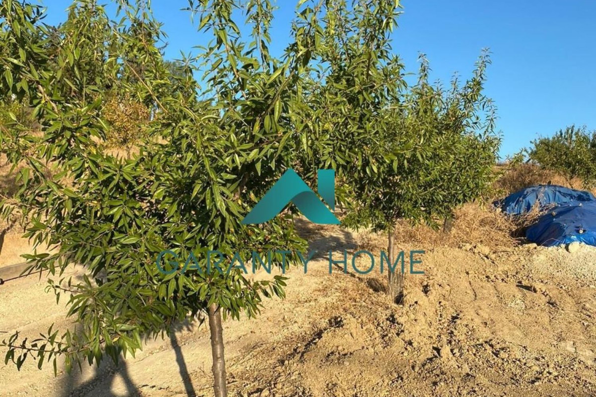 Terreno en venta en Lucena, Córdoba photo 4