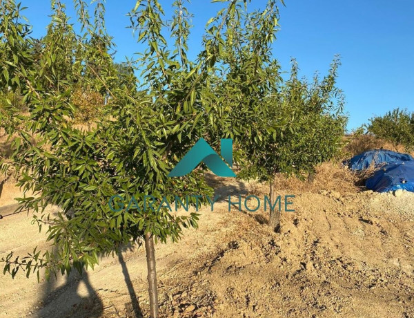 Terreno en venta en Jauja photo 4