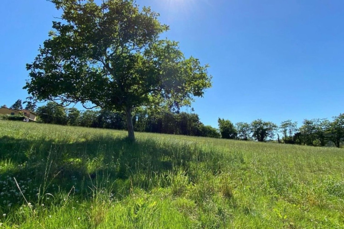 Land for sale in Villaviciosa, Asturias photo 3