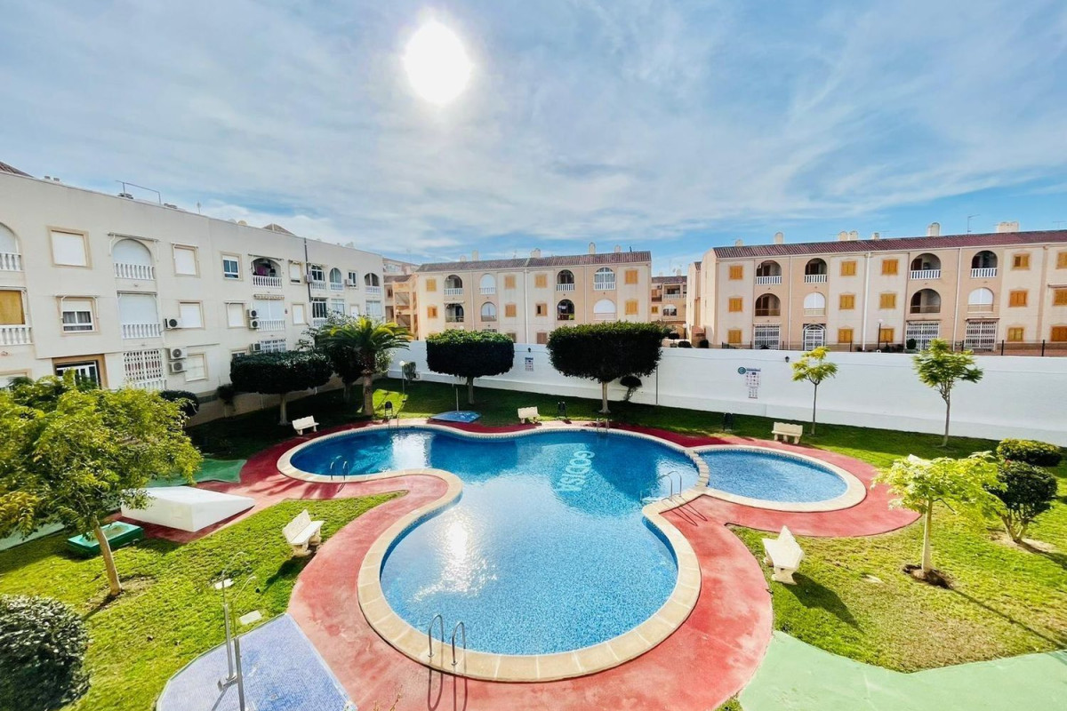 Venta de bajo en La Siesta - El Salado - Torreta, Torrevieja
 photo 2