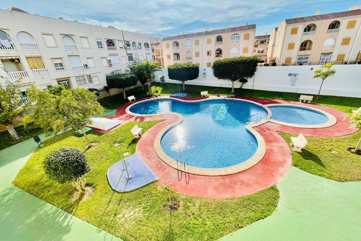 Venta de bajo en La Siesta - El Salado - Torreta, Torrevieja
 photo 3