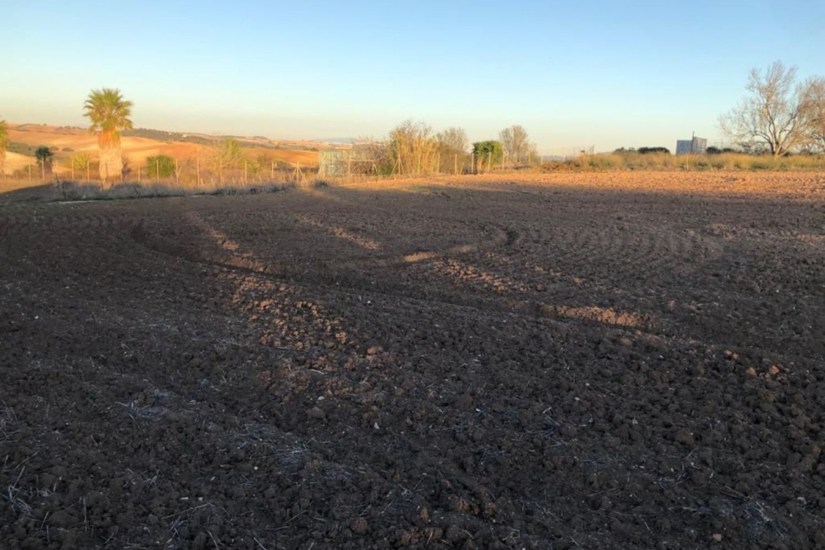 Działka na sprzedaż w Chiclana de la Frontera, Kadyks photo 5