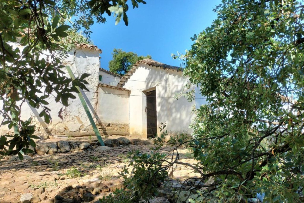 Działka na sprzedaż w Grazalema, Kadyks photo 3