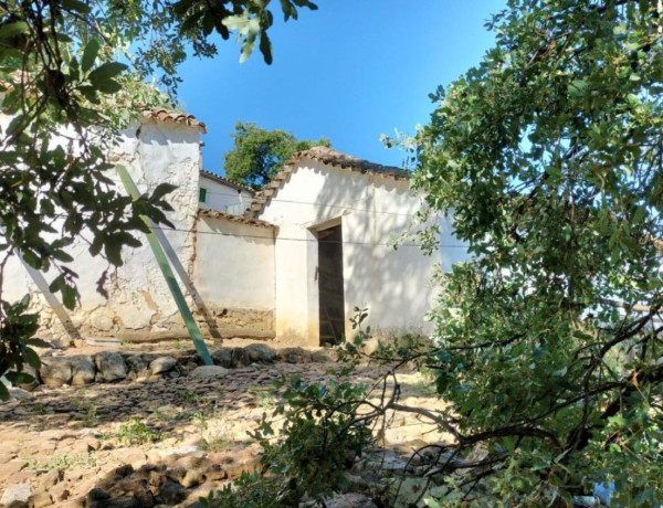 Terreno en venta en Grazalema photo 3