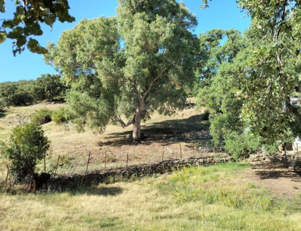 Terreno en venta en Grazalema photo 4