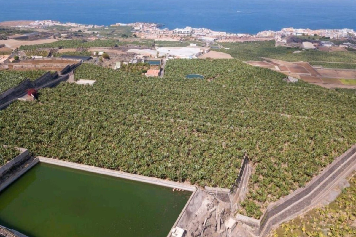 Terreno en venta en Guia de Isora, Santa Cruz de Tenerife photo 3
