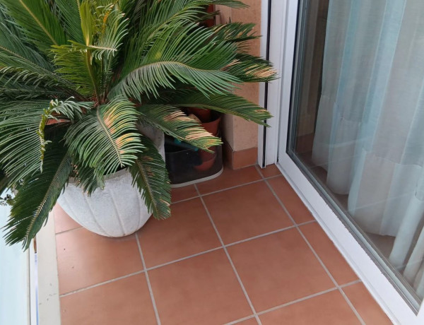 Piso en venta en  Sur , Murcia photo 3