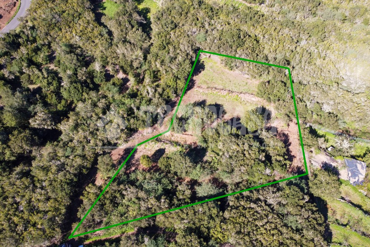 Terreno en venta en Tanque, Santa Cruz de Tenerife photo 2
