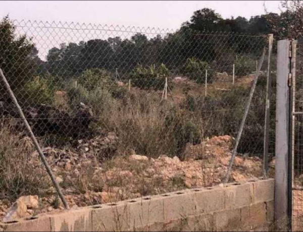 Terreno en venta en Godelleta photo 2