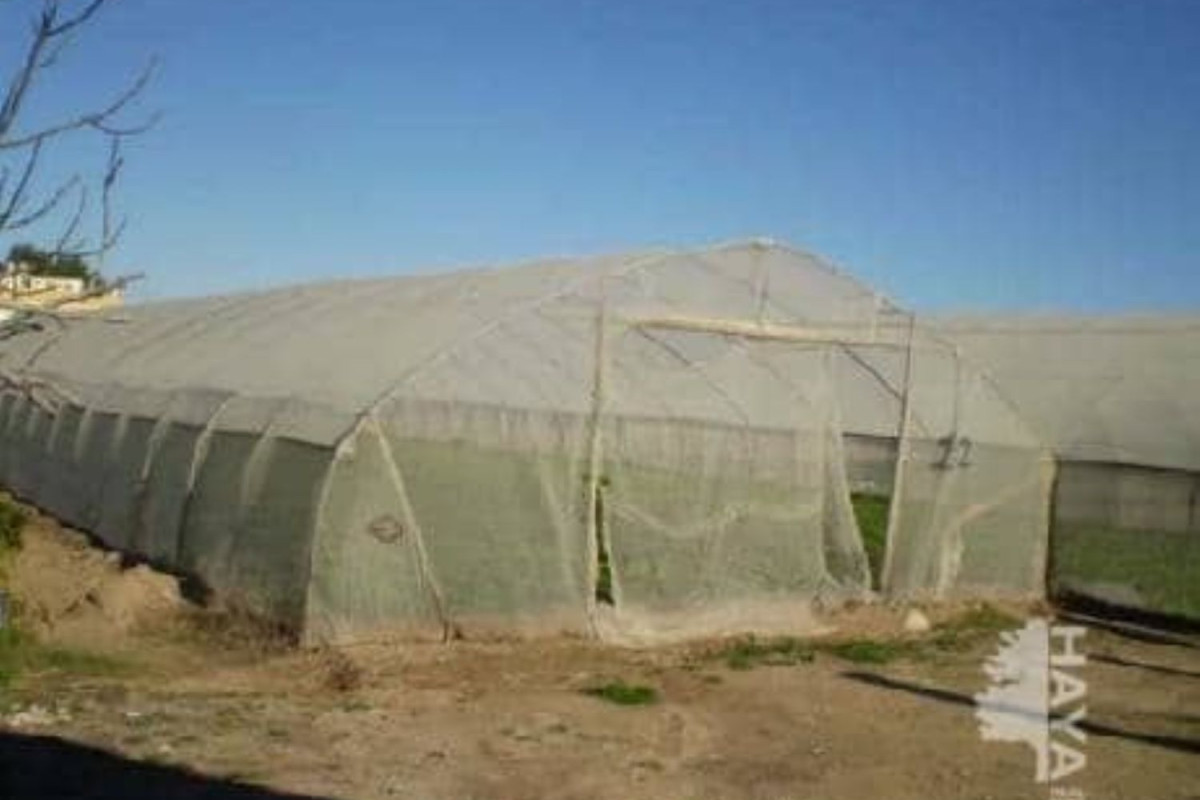 Terreno en venta en Sueca, Valencia photo 1